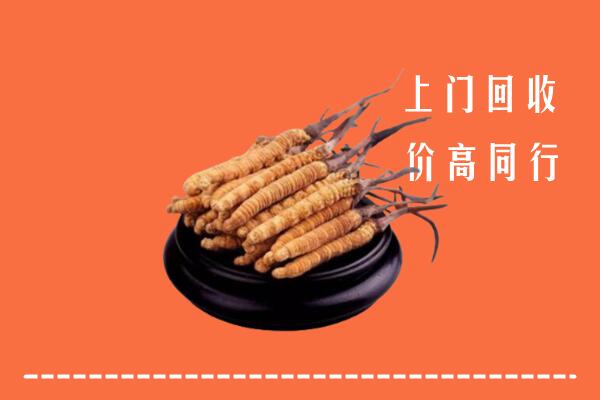 高价求购：鞍山回收散虫草